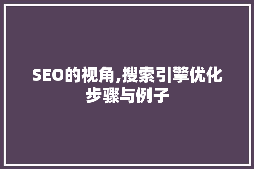 SEO的视角,搜索引擎优化步骤与例子