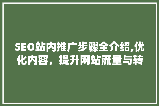 SEO站内推广步骤全介绍,优化内容，提升网站流量与转化率 小程序开发