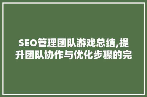 SEO管理团队游戏总结,提升团队协作与优化步骤的完美融合