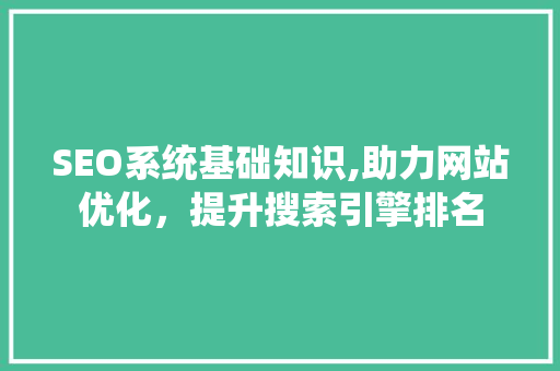 SEO系统基础知识,助力网站优化，提升搜索引擎排名 网站优化