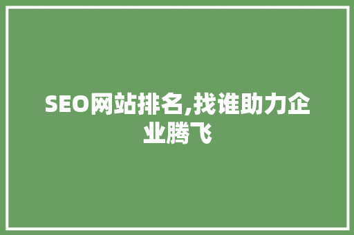 SEO网站排名,找谁助力企业腾飞