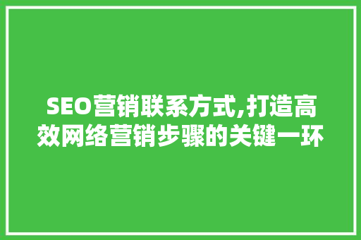 SEO营销联系方式,打造高效网络营销步骤的关键一环