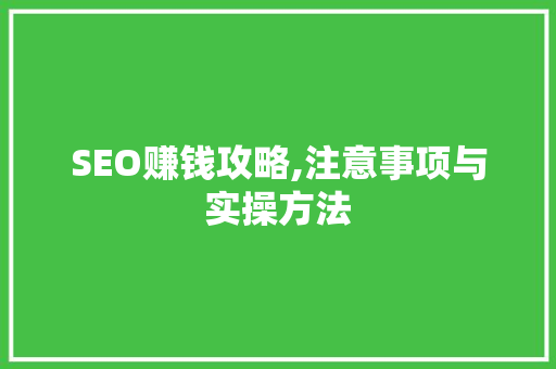 SEO赚钱攻略,注意事项与实操方法 AI技术学习
