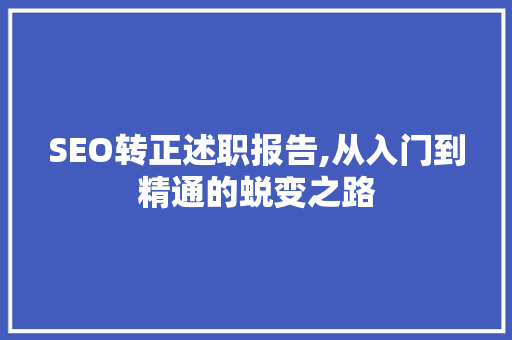 SEO转正述职报告,从入门到精通的蜕变之路
