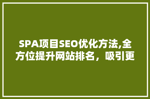 SPA项目SEO优化方法,全方位提升网站排名，吸引更多潜在客户 网站开发