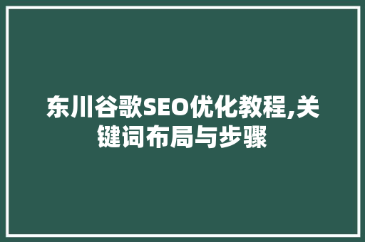 东川谷歌SEO优化教程,关键词布局与步骤