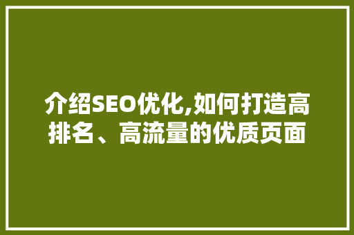 介绍SEO优化,如何打造高排名、高流量的优质页面