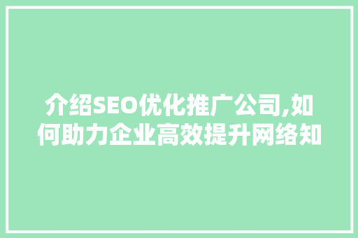 介绍SEO优化推广公司,如何助力企业高效提升网络知名度