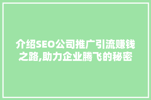 介绍SEO公司推广引流赚钱之路,助力企业腾飞的秘密武器
