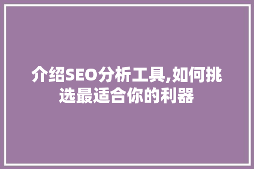 介绍SEO分析工具,如何挑选最适合你的利器