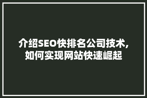 介绍SEO快排名公司技术,如何实现网站快速崛起