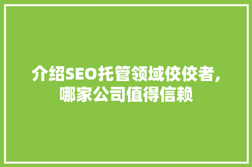 介绍SEO托管领域佼佼者,哪家公司值得信赖