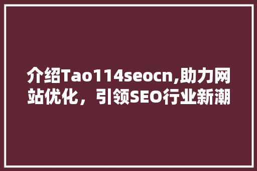 介绍Tao114seocn,助力网站优化，引领SEO行业新潮流 百度算法