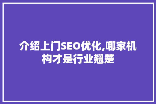 介绍上门SEO优化,哪家机构才是行业翘楚