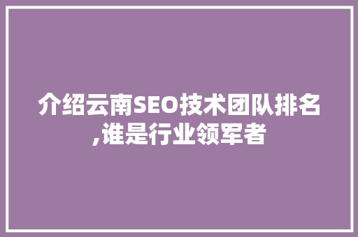 介绍云南SEO技术团队排名,谁是行业领军者 AI技术学习
