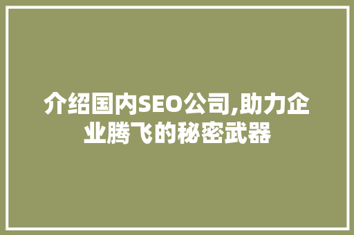 介绍国内SEO公司,助力企业腾飞的秘密武器