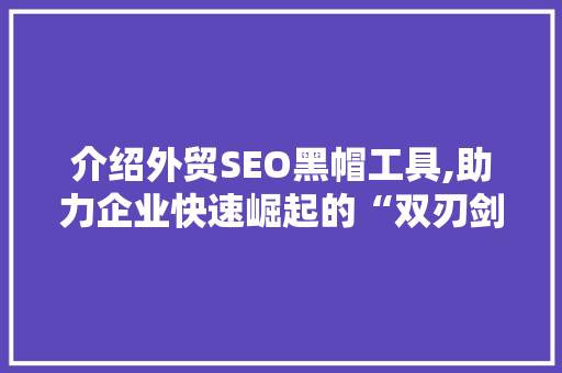 介绍外贸SEO黑帽工具,助力企业快速崛起的“双刃剑”