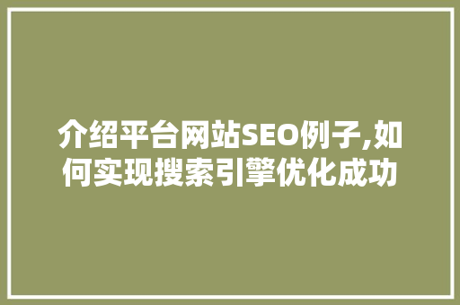 介绍平台网站SEO例子,如何实现搜索引擎优化成功