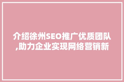 介绍徐州SEO推广优质团队,助力企业实现网络营销新高度
