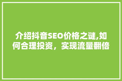 介绍抖音SEO价格之谜,如何合理投资，实现流量翻倍