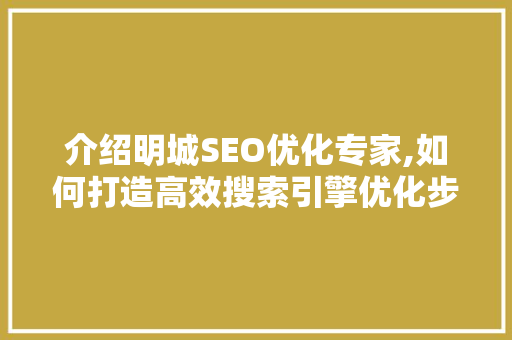 介绍明城SEO优化专家,如何打造高效搜索引擎优化步骤 百度算法