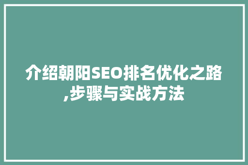 介绍朝阳SEO排名优化之路,步骤与实战方法 头条优化