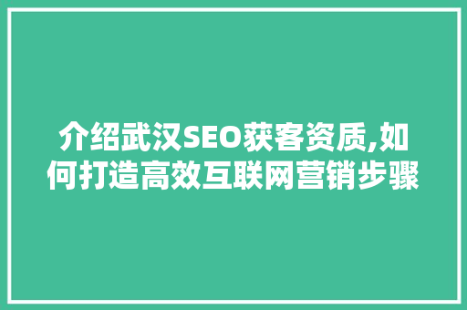 介绍武汉SEO获客资质,如何打造高效互联网营销步骤 搜狗优化