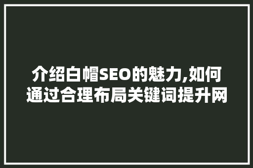 介绍白帽SEO的魅力,如何通过合理布局关键词提升网站排名 网站优化