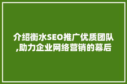 介绍衡水SEO推广优质团队,助力企业网络营销的幕后英雄