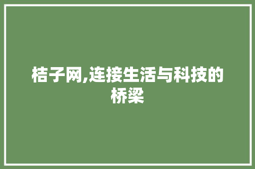桔子网,连接生活与科技的桥梁