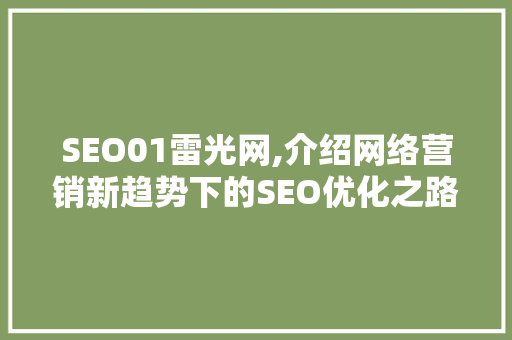 SEO01雷光网,介绍网络营销新趋势下的SEO优化之路 英文谷歌算法