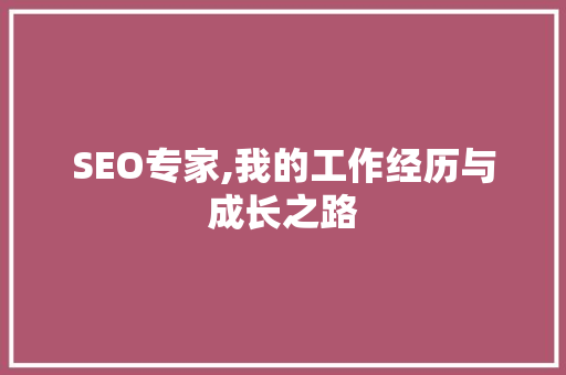 SEO专家,我的工作经历与成长之路 网站优化