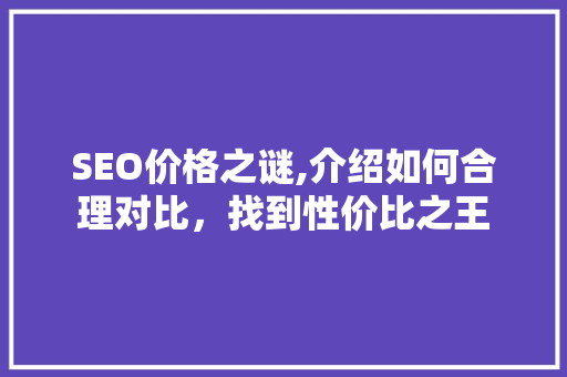 SEO价格之谜,介绍如何合理对比，找到性价比之王