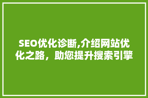 SEO优化诊断,介绍网站优化之路，助您提升搜索引擎排名