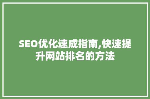SEO优化速成指南,快速提升网站排名的方法 搜狗优化