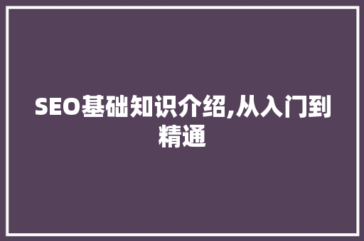 SEO基础知识介绍,从入门到精通 seo技术