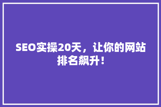 SEO实操20天，让你的网站排名飙升！ 搜狗优化