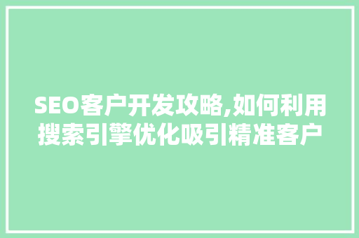 SEO客户开发攻略,如何利用搜索引擎优化吸引精准客户 网站优化