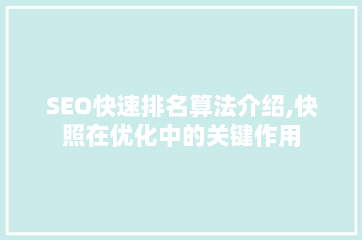 SEO快速排名算法介绍,快照在优化中的关键作用
