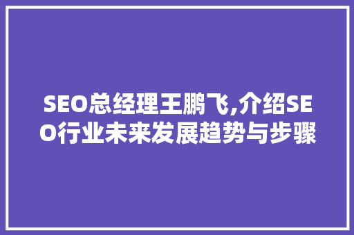 SEO总经理王鹏飞,介绍SEO行业未来发展趋势与步骤布局 网站优化