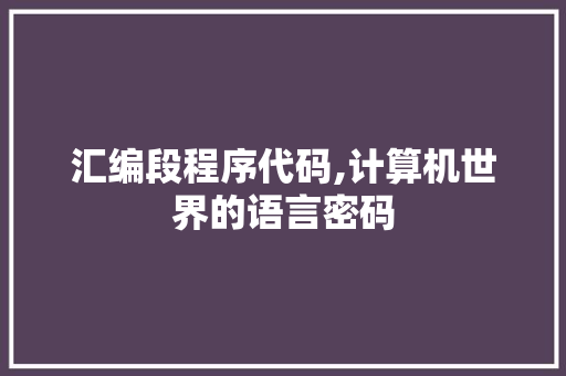 汇编段程序代码,计算机世界的语言密码