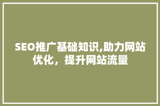 SEO推广基础知识,助力网站优化，提升网站流量 英文谷歌算法