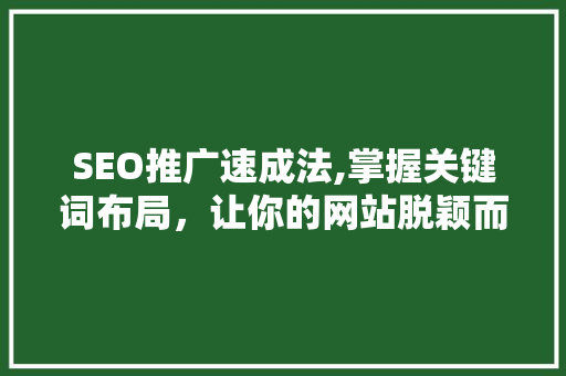 SEO推广速成法,掌握关键词布局，让你的网站脱颖而出 360搜优化