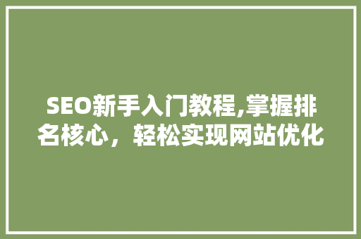 SEO新手入门教程,掌握排名核心，轻松实现网站优化 网站优化