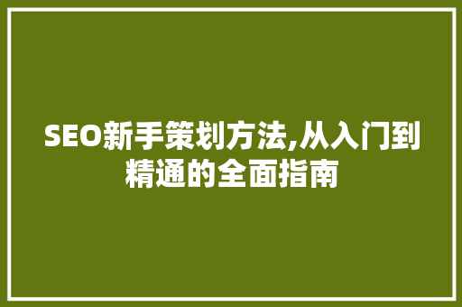 SEO新手策划方法,从入门到精通的全面指南 网站优化