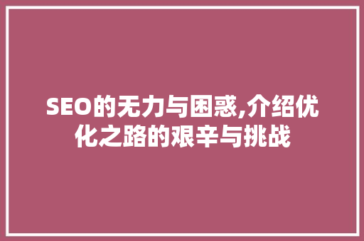 SEO的无力与困惑,介绍优化之路的艰辛与挑战
