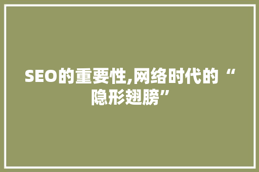 SEO的重要性,网络时代的“隐形翅膀”