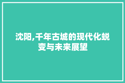 沈阳,千年古城的现代化蜕变与未来展望 沈阳,千年古城的现代化蜕变与未来展望 小程序开发