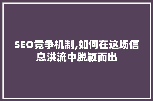 SEO竞争机制,如何在这场信息洪流中脱颖而出