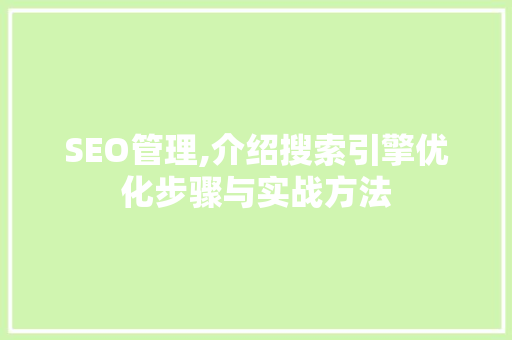 SEO管理,介绍搜索引擎优化步骤与实战方法